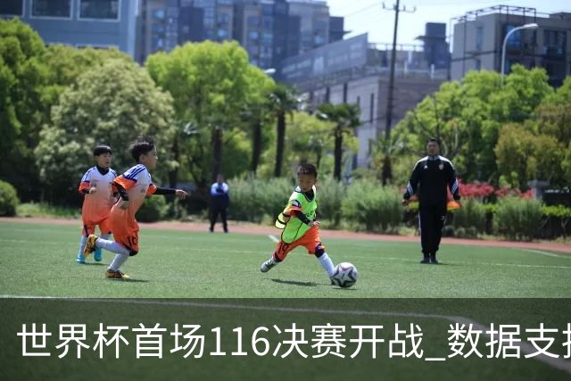 世界杯首场1/16决赛开战 数据支持东道主晋级