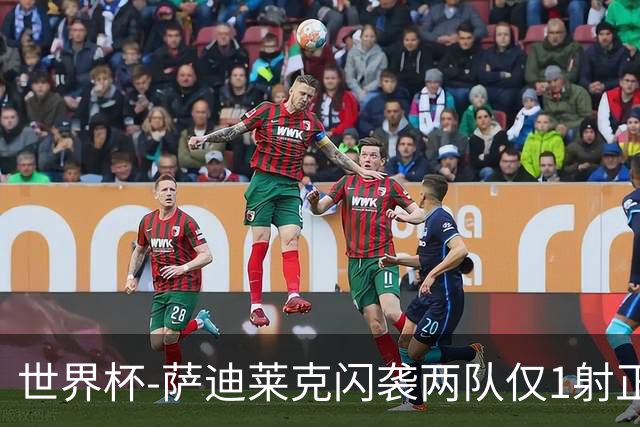 世界杯-萨迪莱克闪袭两队仅1射正 捷克半场暂1-0南非