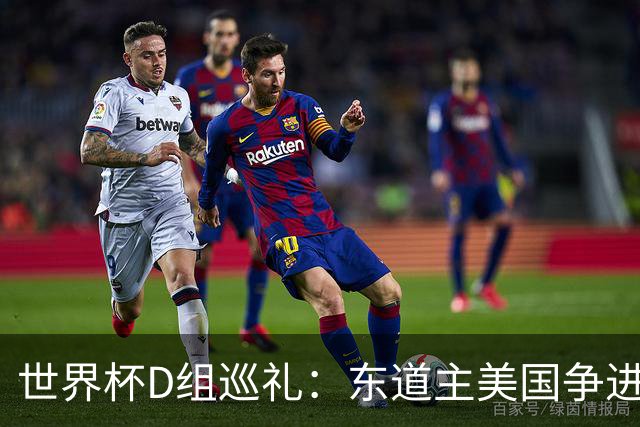 世界杯D组巡礼：东道主美国争进8强 土耳其巴拉圭澳洲混战